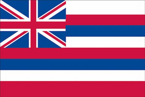 Spectrapro Spectrapro 5'x8' Polyester Hawaii Flag 58332110