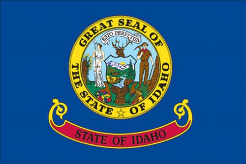 Spectrapro Spectrapro 5'x8' Polyester Idaho Flag 58332120