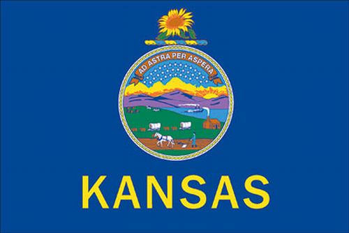 Spectrapro Spectrapro 5'x8' Polyester Kansas Flag 58332160