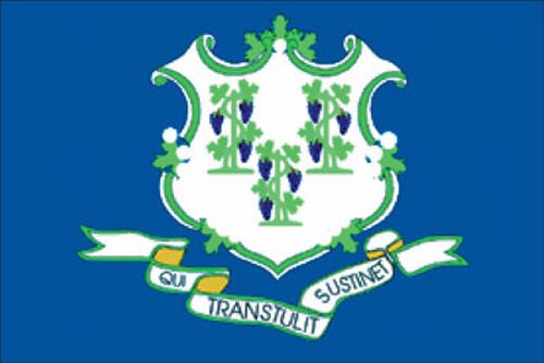 Spectramax Spectramax 8'x12' Nylon Connecticut Flag 82222070