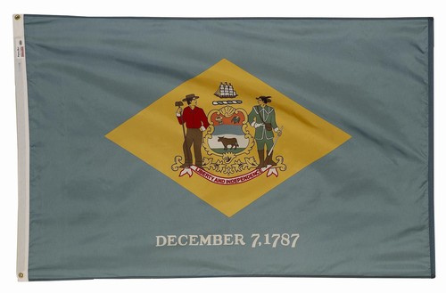 Spectramax Spectramax 4'x6' Nylon Delaware Flag 46232080