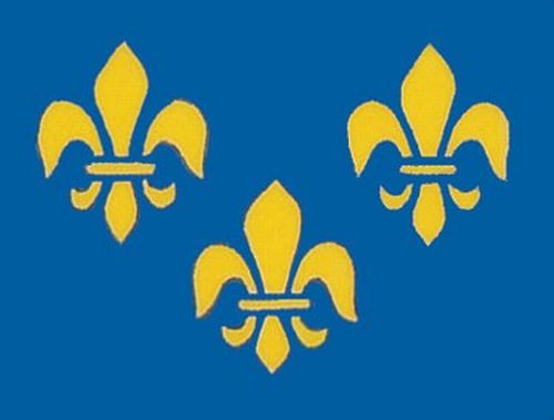 Perma-Nyl Perma-Nyl 3'x5' Nylon Fleur De Lis Flag 35221780