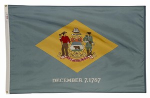 Spectramax Spectramax 5'x8' Nylon Delaware Flag 58232080