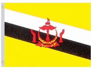 Perma-Nyl Perma-Nyl 5'x8' Nylon Brunei Flag 58224760