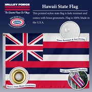 Spectramax Spectramax 2'x3' Nylon Hawaii Flag 23232110 View 3