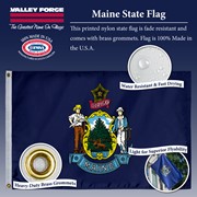 Spectramax Spectramax 2'x3' Nylon Maine Flag 23232190 View 3