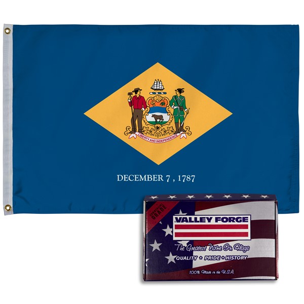 Spectramax 2'x3' Nylon Delaware Flag
