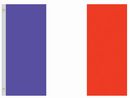 Perma-Nyl 4'x6' Nylon France Flag