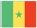 Perma-Nyl 4'x6' Nylon Senegal Flag